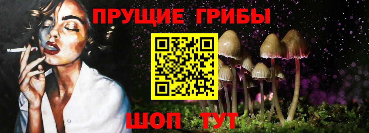 как найти закладки  Псилоцибиновые грибы мицелий  Вход с VPN  Псилоцибиновые грибы GOLDEN TEACHER  Люберцы 